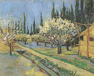 Vincent Van Gogh Orchard in Blossom,Bordered by Cypresses (nn04)